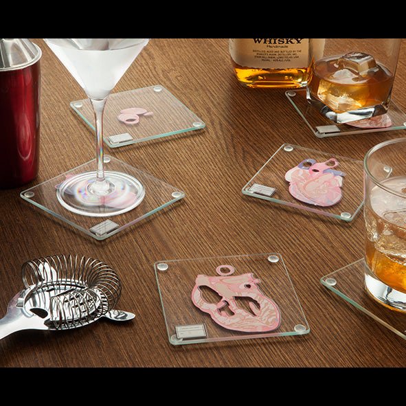 Anatomic Heart Specimen Coasters - Image 2