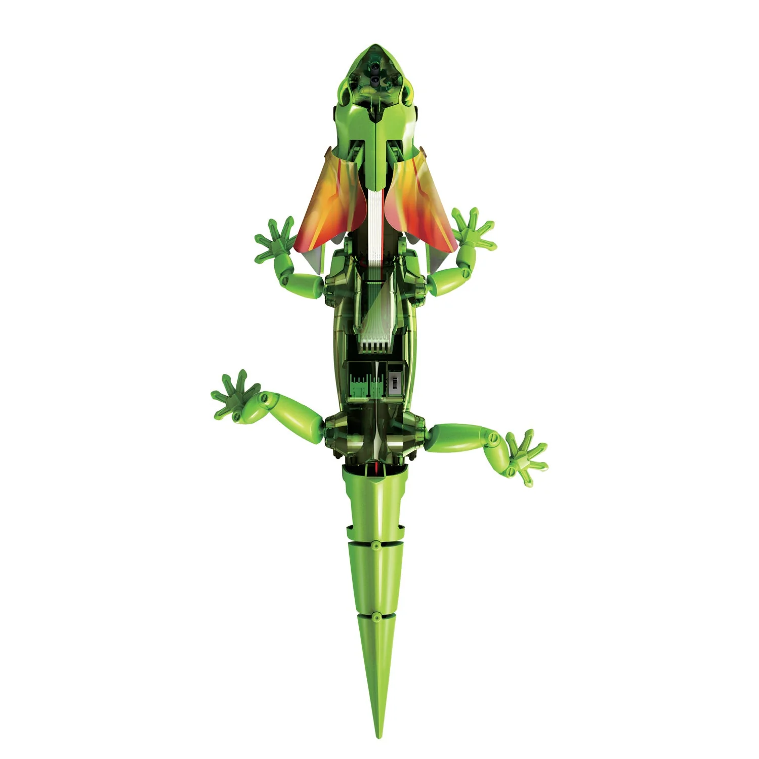 Build Your Own Robot Lizard - Image 2