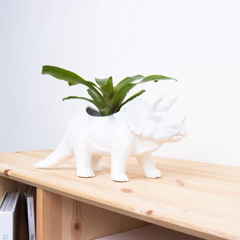 Dinosaur Planters - Image 3