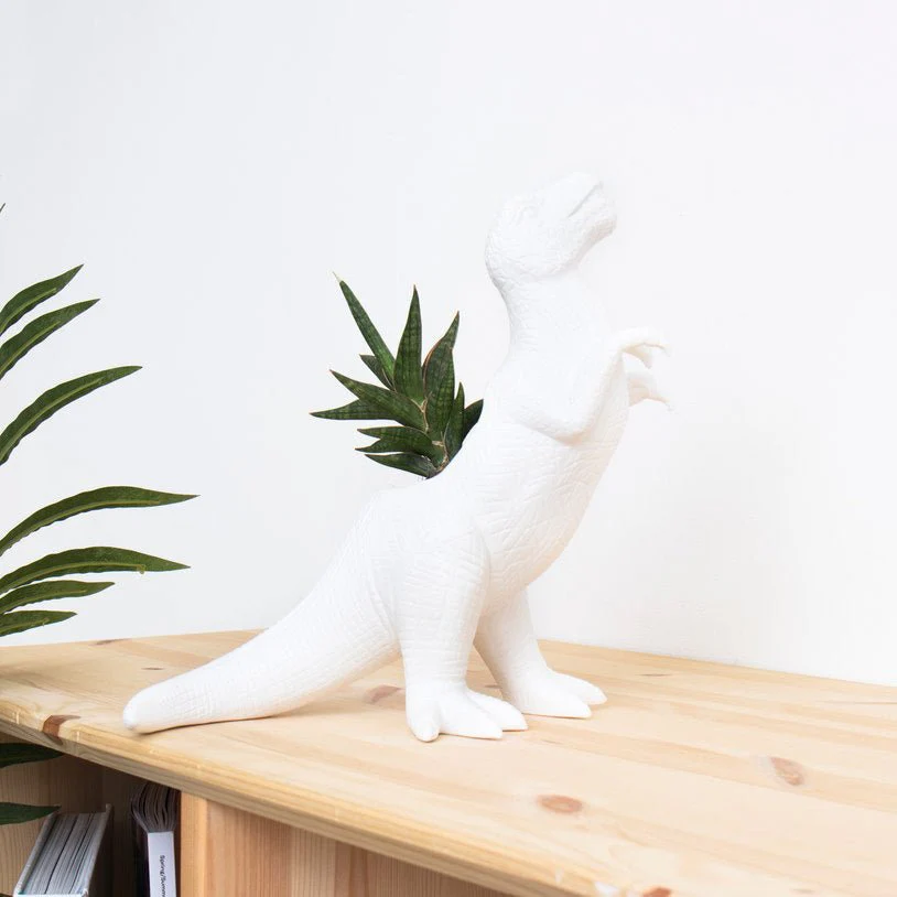 Dinosaur Planters - Image 6