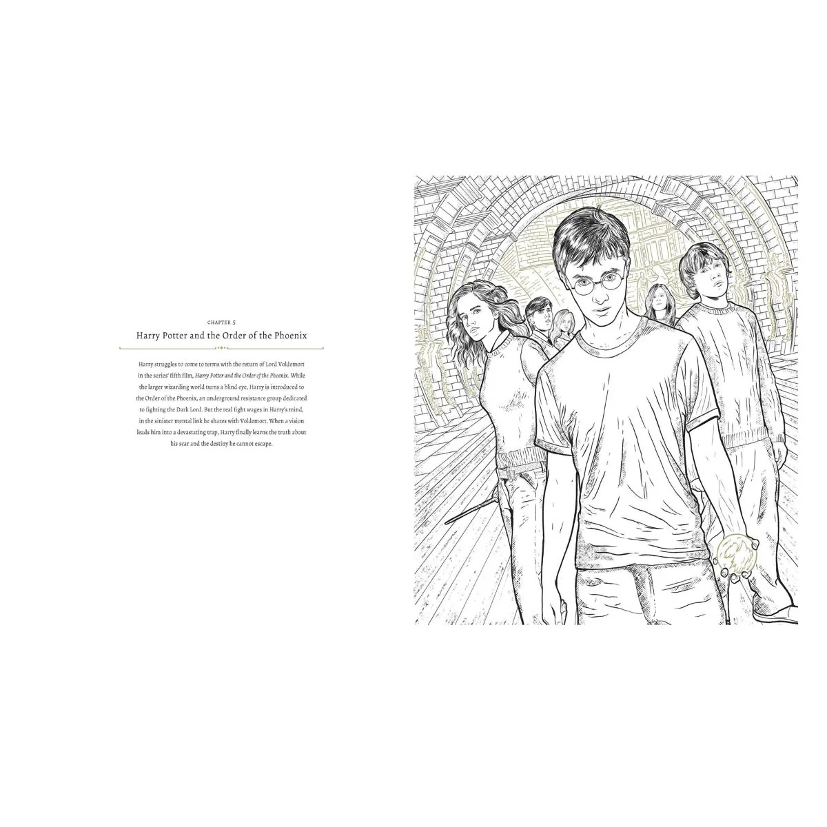 Harry Potter: A Cinematic Gallery - 80 Original Images to Colour and Inspire - Image 3
