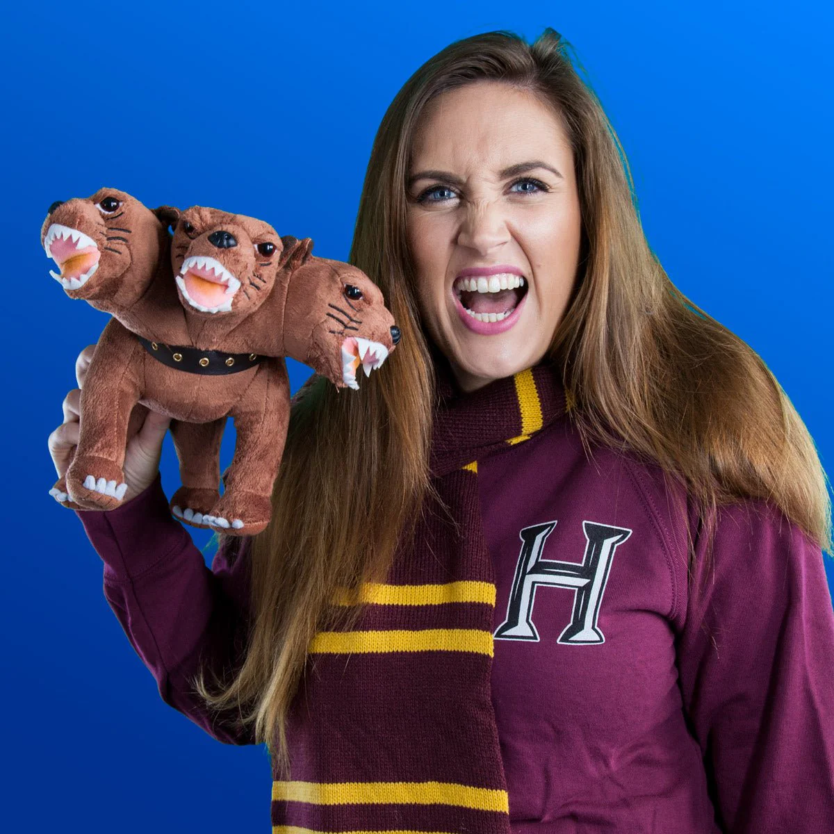 Harry Potter Fluffy Premium Collector's Plush - Image 4