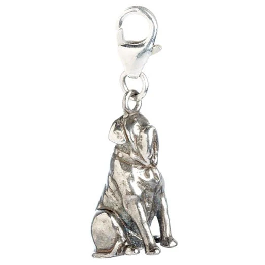 Harry Potter Sterling Silver Charms - Image 21