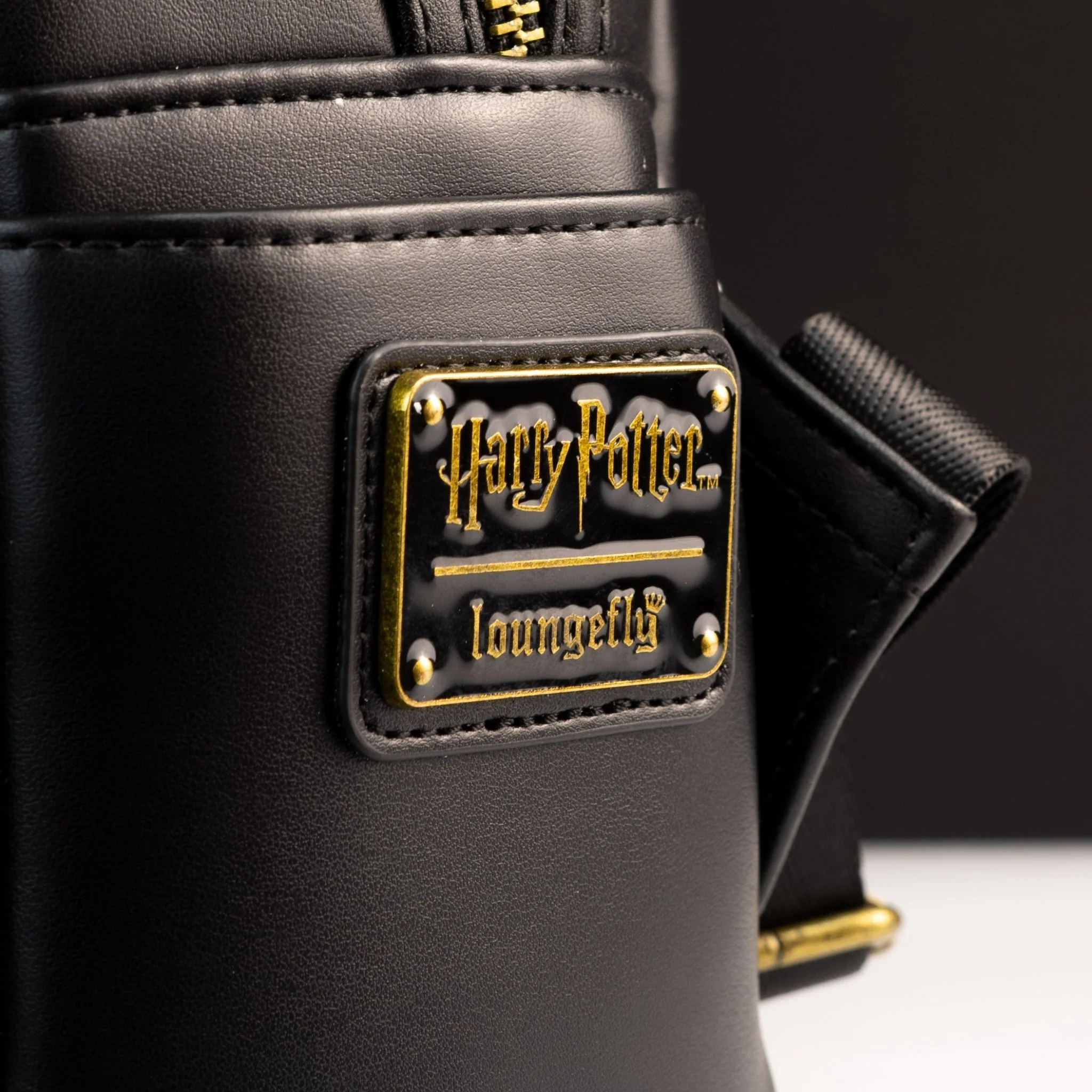 Loungefly x Harry Potter Voldemort Among Death Eaters Mini Backpack - Image 3