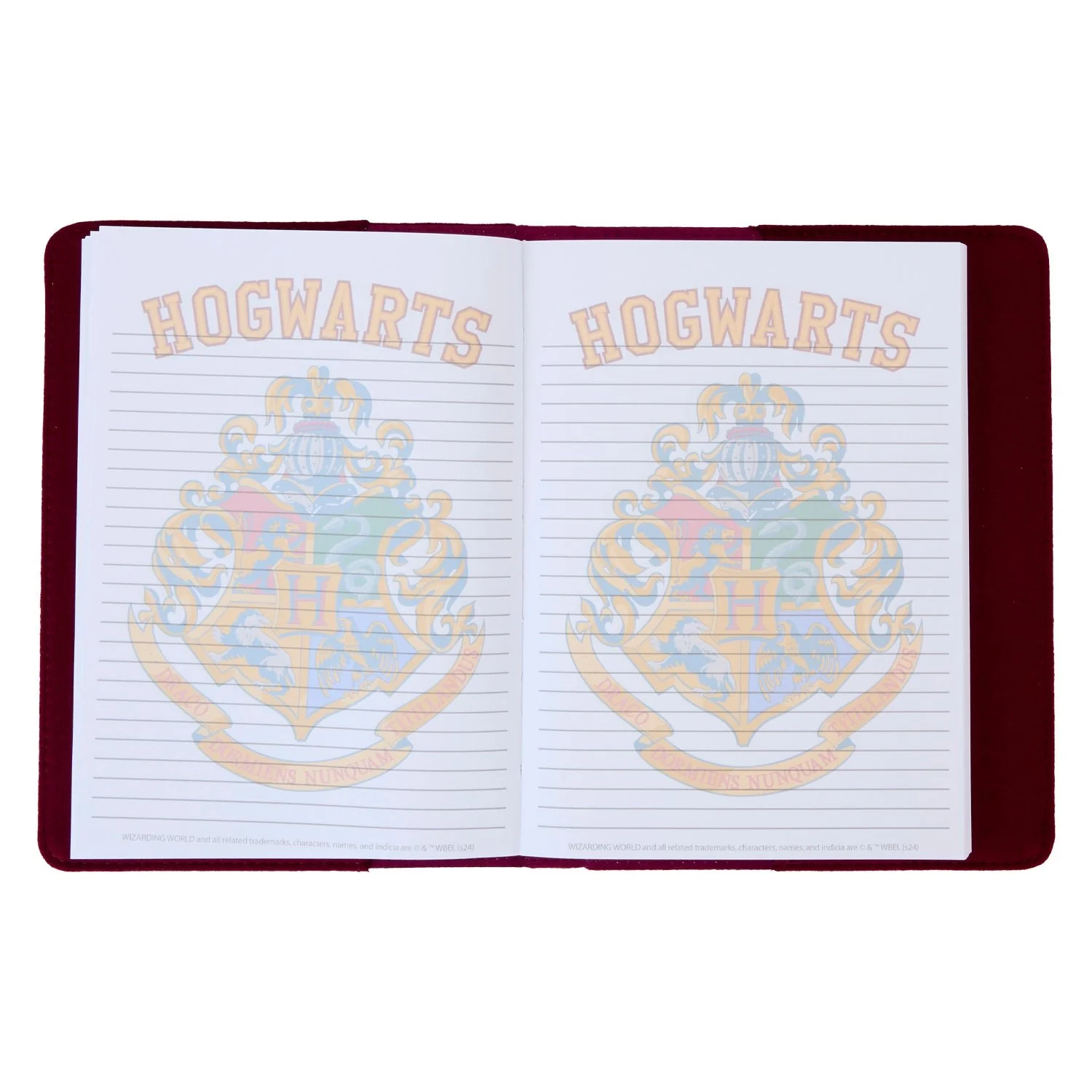 Loungefly x Harry Potter Hogwarts Varsity Premium Journal - Image 3