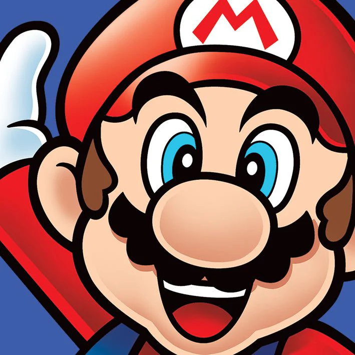 Super Mario Brothers Canvas Art - Image 4