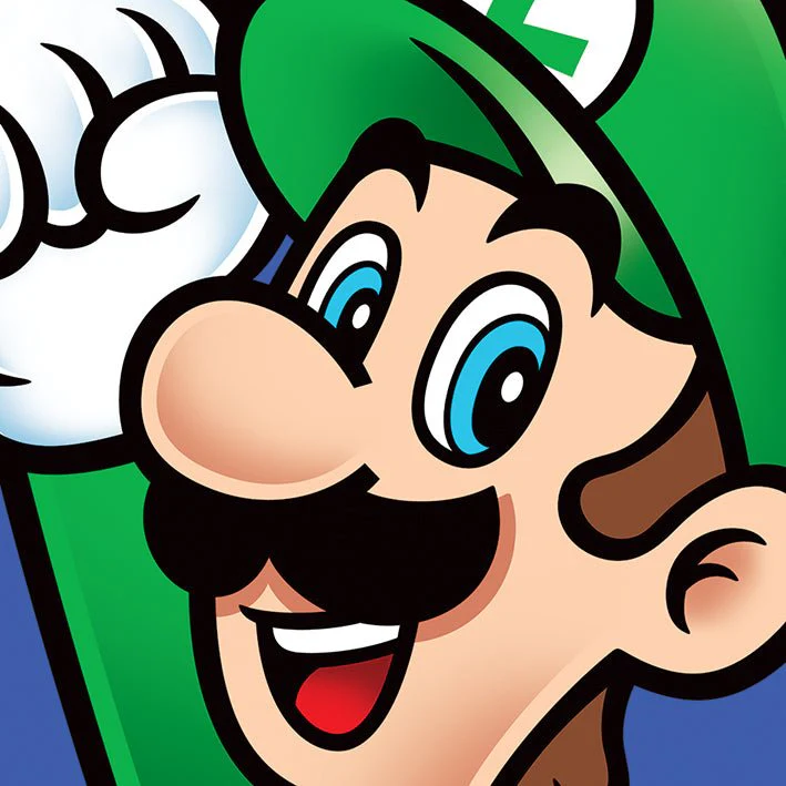 Super Mario Brothers Canvas Art - Image 5
