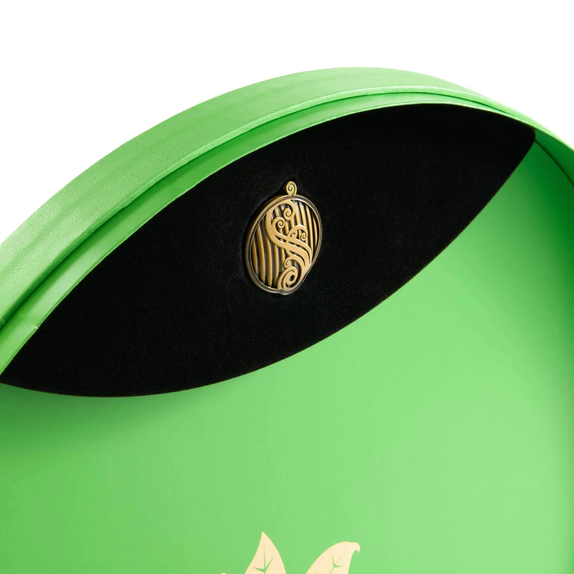 Wicked Elphaba's Hat Adult Collectors Edition - Image 7